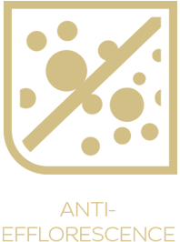 anti icon png